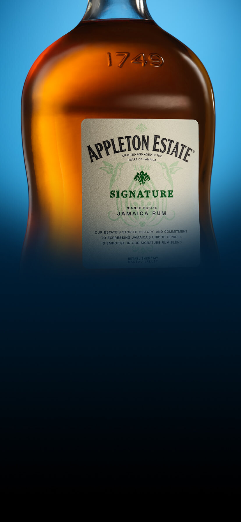 Appleton Estate Signature Blend Appearance