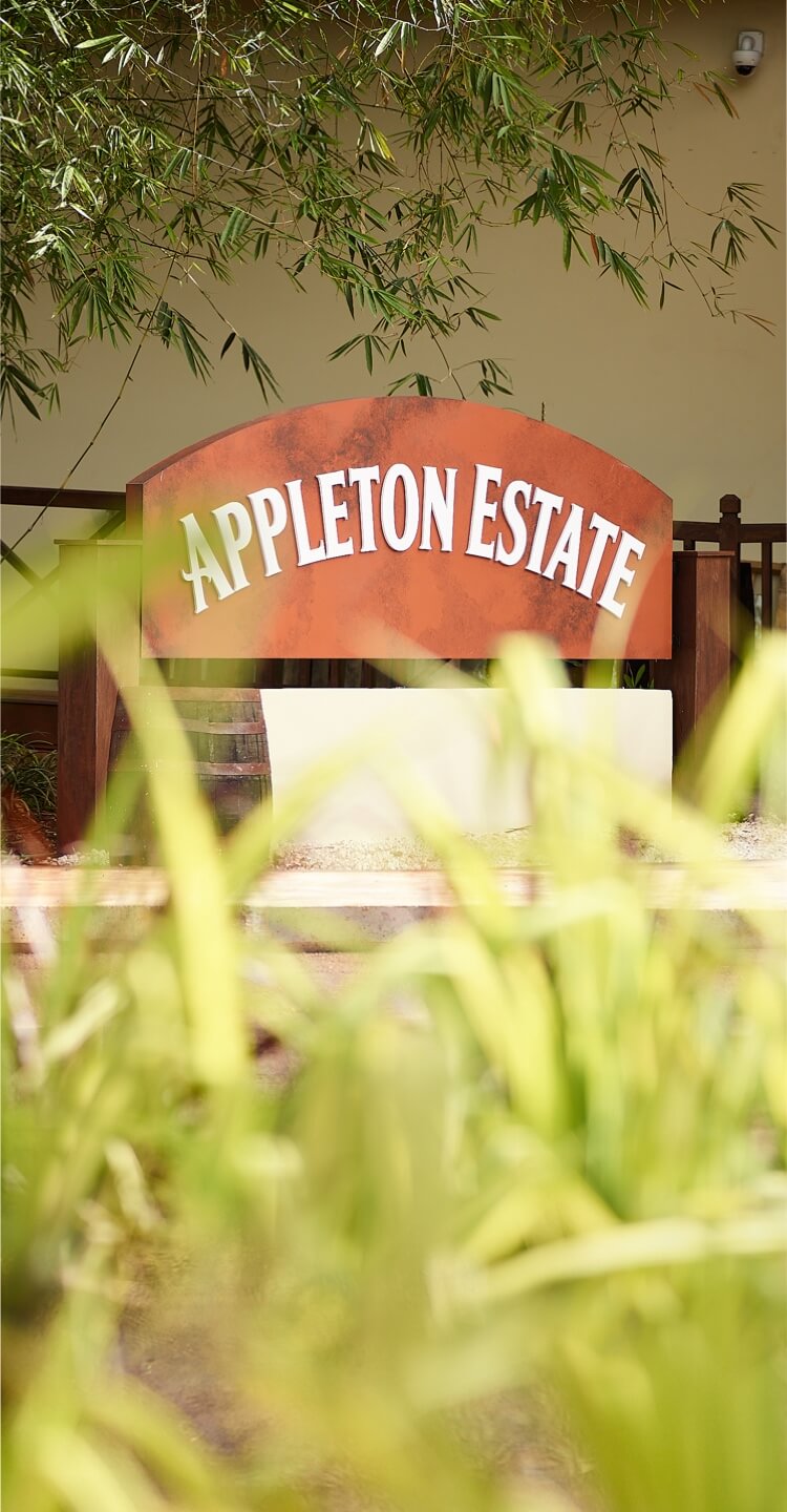 Joy Spence Appleton Estate Rum Experience